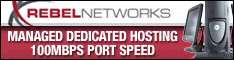 dedicated hosting 100 MBPS port speed 100% uptime SLA firewalls & moni Toring 