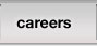 Rebel Networks website hosting careers